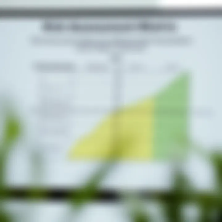 Risk Assessment Matrix for Effective Risk Prioritization Graphical representation of risk assessment matrix demonstrating risk levels and mitigation priorities